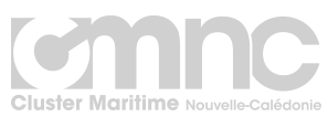 CMNC logo monochrome_gris_297x116px
