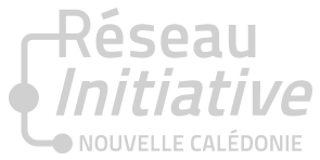 Reseau initiative_monochrome gris